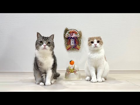 【ご報告】2024年の活動について。(YouTube)