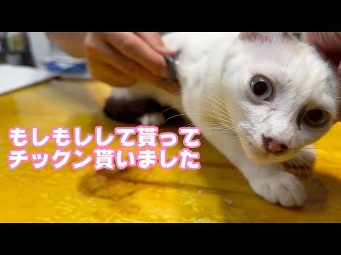 モシモシしもチックンもちゃんとできました　【2024 01 10-2 】(YouTube)