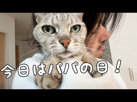 パパが好きすぎてベッタリな猫たち(YouTube)