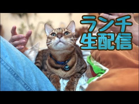 【ランチ生配信1/31】1月も今日も終わりですね生配信📹(YouTube)