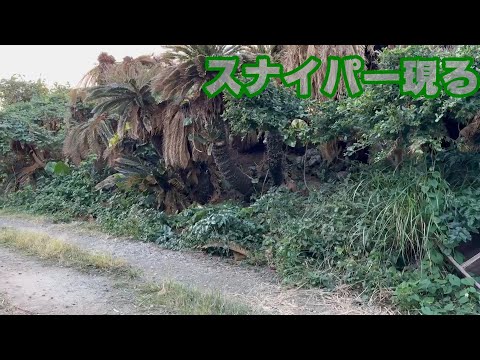 何を狙う？狙撃手現る！ 【2024 01 02-2】(YouTube)