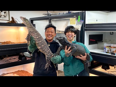 とんでもない爬虫類を飼育、繁殖する超マニアのお宅に訪問してみると…(YouTube)