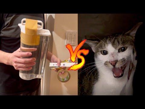 ケージクラッシャー地域猫vs修理する夫(YouTube)