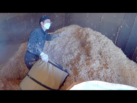 山のように積もったラットの床材回収がカオスすぎた(YouTube)