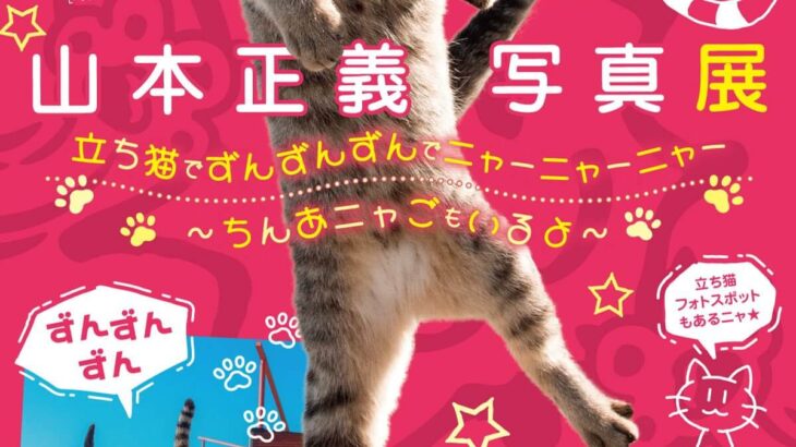 猫の日には「立ち猫」の撮り方も本人が伝授！山本正義さんのネコ写真展が2/17からスタート(ブログ)