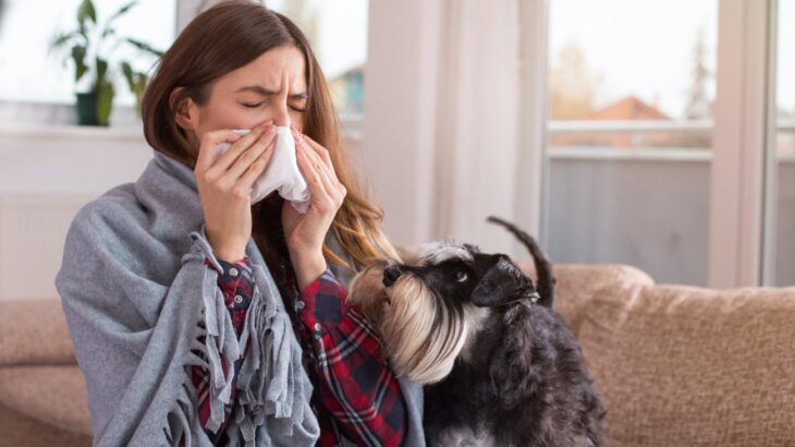 人間から犬や猫への病気の感染は想像以上に多いという調査結果(ブログ)