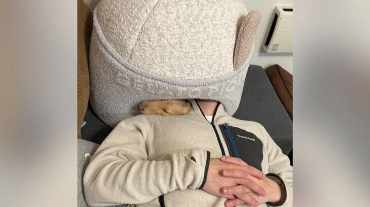 『犬のベッドで一緒に寝てみた』結果…シュール過ぎる光景が230万表示を突破「予想外に問題なさそうで笑った」と絶賛・共感の声(ブログ)