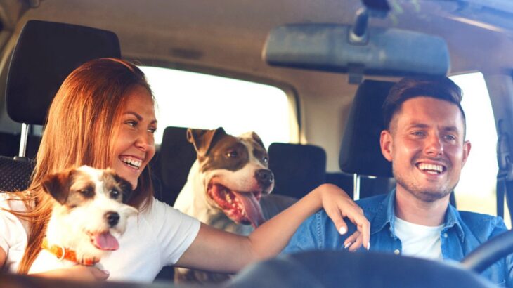 犬を車に乗せる際の『４つのタブー』 絶対にしてはいけないNG行為と必ず知っておくべきリスク(ブログ)