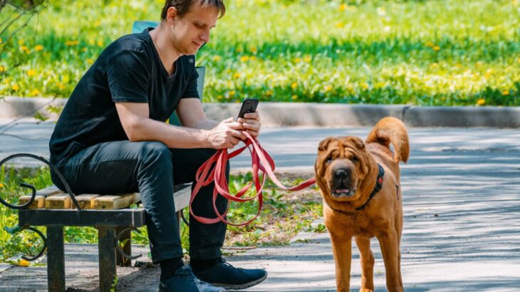 犬の散歩を適当にすると…愛犬にどんな悪影響がある？3つのリスクや思いがけないトラブルも(ブログ)