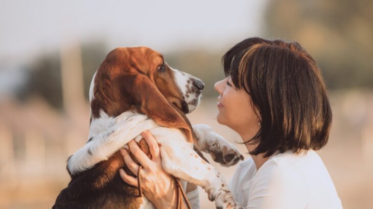 犬を抱っこする時にしてはいけないNG行為5選　絶対にすべきではないやり方も…どんなリスクがあるの？(ブログ)