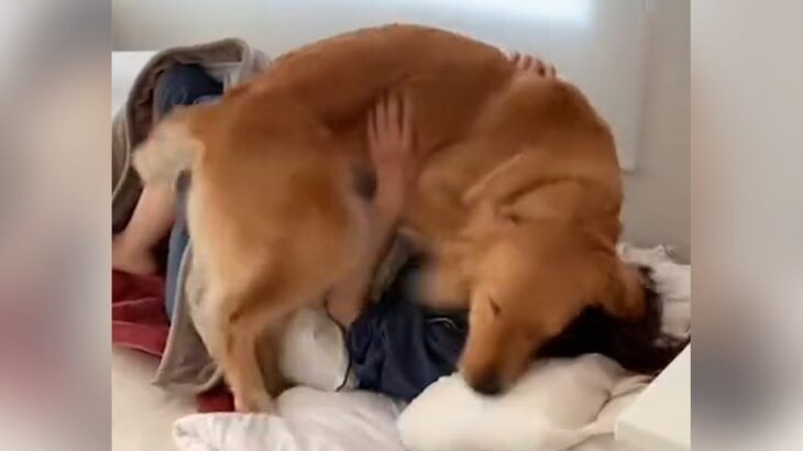 大型犬に『目覚まし』をお願いした結果…壮絶過ぎる朝の一コマが136万再生「あと5分が通用しないタイプ」「100％起きれる」の声(ブログ)