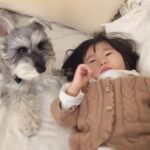 犬が1歳児の『育児サポート』した結果…やさしすぎる行動の数々に感動の声「人間以上の愛情ですよ」「泣きそう」と41万再生突破(ブログ)