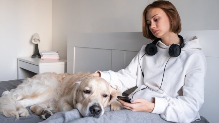 犬がしている『健気なこと』５選　愛おしすぎる行動に「今すぐ撫でたい」「たくさんスキンシップとろう」(ブログ)