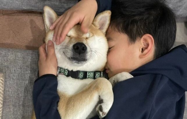 犬とお兄ちゃんの『ハグ寝落ち』が尊すぎる…抱き合って眠る姿に2万2000いいね「ついニヤけた」「良い関係なの伝わる」と称賛の声(ブログ)
