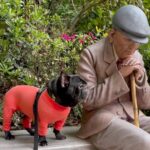 犬が人型の置物に近づいた結果…『おじいちゃんどうしたの？』と寄り添う光景がやさしすぎると109万再生「なんて優しい子」「尊い」(ブログ)