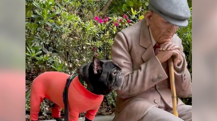 犬が人型の置物に近づいた結果…『おじいちゃんどうしたの？』と寄り添う光景がやさしすぎると109万再生「なんて優しい子」「尊い」(ブログ)
