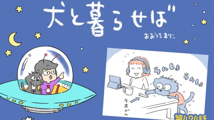 犬と暮らせば【第424話】「ひとりでできるもん！」(ブログ)