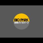 カピバラの露天風呂？ライブ(YouTube)