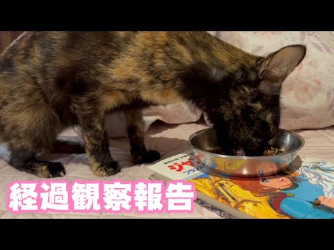 経過観察報告2024 02 18 2(YouTube)