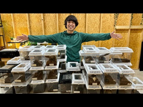 爬虫類イベントに出店します！(YouTube)