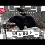 守ろう！東京の生きものたちリレートークNo.3：ニホンツキノワグマ(YouTube)