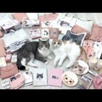 【祝】もちとはながとんでもないことになりました！！(YouTube)