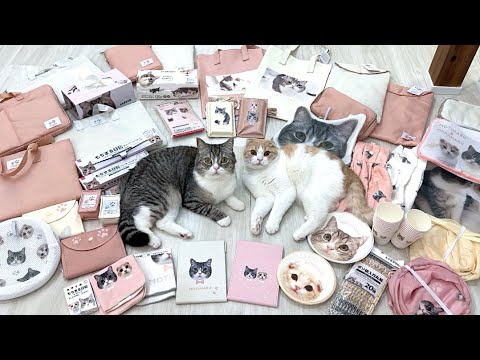 【祝】もちとはながとんでもないことになりました！！(YouTube)