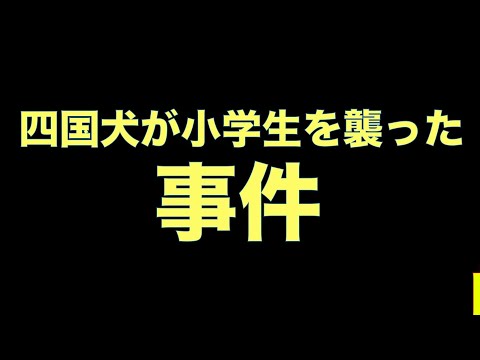 逃げた四国犬小学生を襲った事件について（群馬県伊勢崎市）(YouTube)