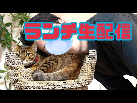 【ランチ生配信2/14】ハッピーバレンタイン生配信🍫📹(YouTube)