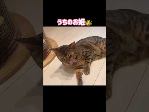 お姫なの👑💓 #shorts(YouTube)