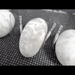 【全滅】産まれた蛇の卵がどんどん腐っていってます(YouTube)