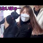 【猫詰め】首コケで帰宅拒否する黒猫さん(YouTube)