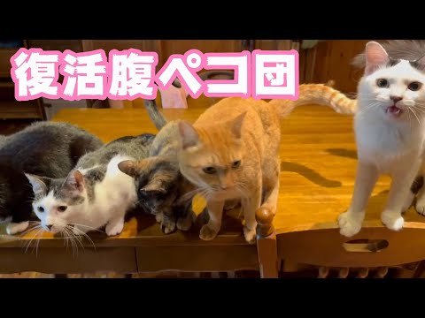 復活腹ペコ団!2024 02 15 1(YouTube)