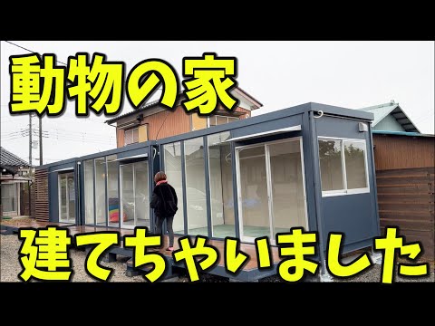保護シェルターがあにまるずに誕生！！(YouTube)