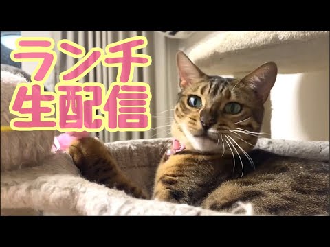 【ランチ生配信2/21】2月ってなんでこんな早いの？生配信(YouTube)