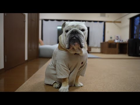 皆さまお久しぶりです♪ぶるまるからみなさんにお知らせがあります♪(YouTube)