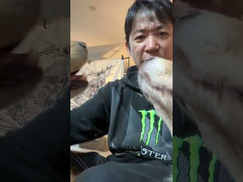犬の吸い方５選・初級〜達人級まで(YouTube)