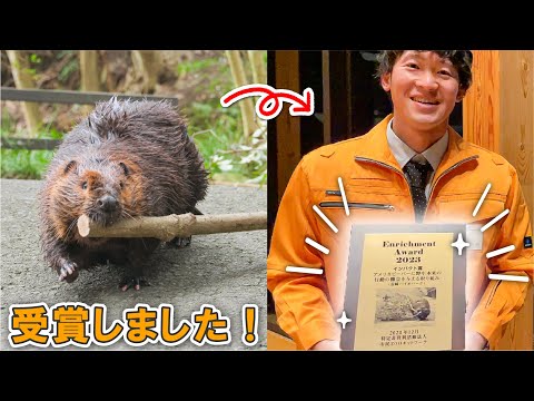 ビーバー展示の取り組みで表彰されました！【エンリッチメント大賞2023】(YouTube)