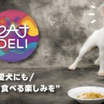 食育を真剣に考えた国産ドッグフード「eatDELI（イートデリ）」を解説(ブログ)