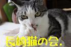 ぬりぬり返し待ちするまつり姐さん(ブログ)