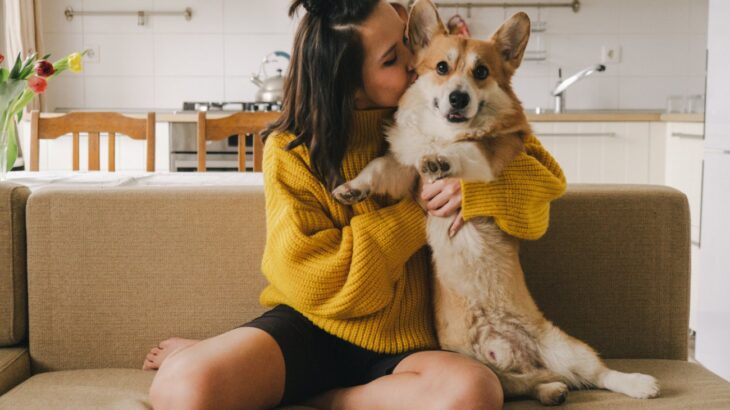 犬にとって『NGなスキンシップ』5選　過剰な触れ合いは危険？愛犬にとっての悪影響とは(ブログ)