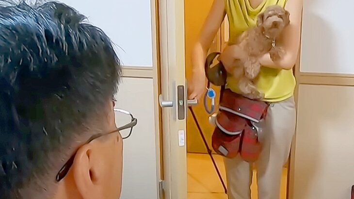 犬に『おじいちゃんが家にいるサプライズ』した結果…予想以上に感情が大爆発してしまう光景が534万再生「可愛いの大渋滞」と絶賛の声(ブログ)