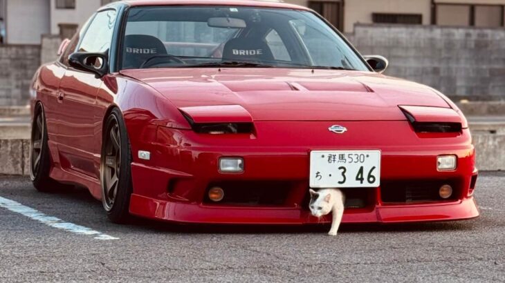 車のバンパーからひょっこり出てきた猫の姿にビックリ！まるで猫専用の玄関みたいだと話題に(ブログ)