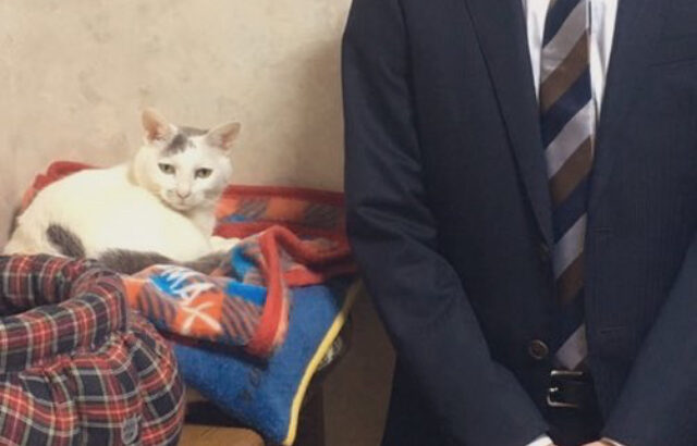 24万人が爆笑！記念撮影のために突然起こされた猫ちゃん、ワケの分かってなさそう顔が面白すぎる(ブログ)