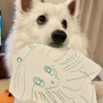 『4歳の息子に似顔絵を描いてもらった犬』嬉しそうな姿が4.4万いいねを集める！絵の才能にも絶賛の声(ブログ)