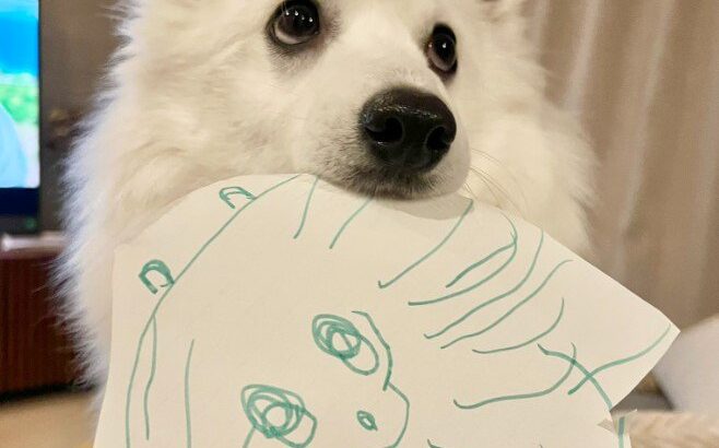 『4歳の息子に似顔絵を描いてもらった犬』嬉しそうな姿が4.4万いいねを集める！絵の才能にも絶賛の声(ブログ)
