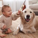 犬がよく見せる『賢い行動』6つ！それぞれに込められた意味や読み取れる心理を解説(ブログ)