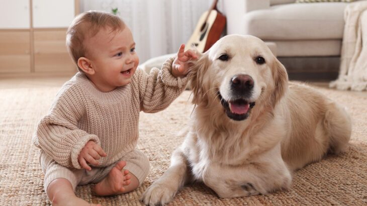 犬がよく見せる『賢い行動』6つ！それぞれに込められた意味や読み取れる心理を解説(ブログ)