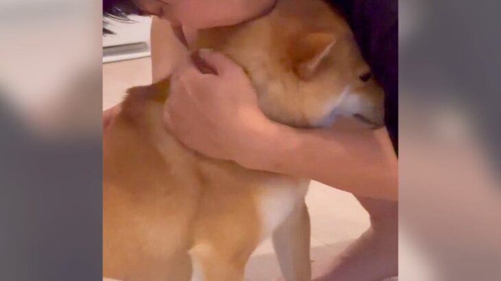 犬がいじめられてしまった結果…見事な『噓泣き』が面白すぎると215万再生を突破「最後ドヤ顔で草」「世渡り上手」と大絶賛の声(ブログ)