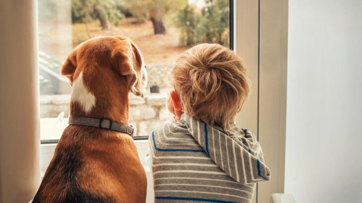 家族想いな犬がする行動3選　愛犬と強い信頼関係を築くために飼い主ができることとは？(ブログ)